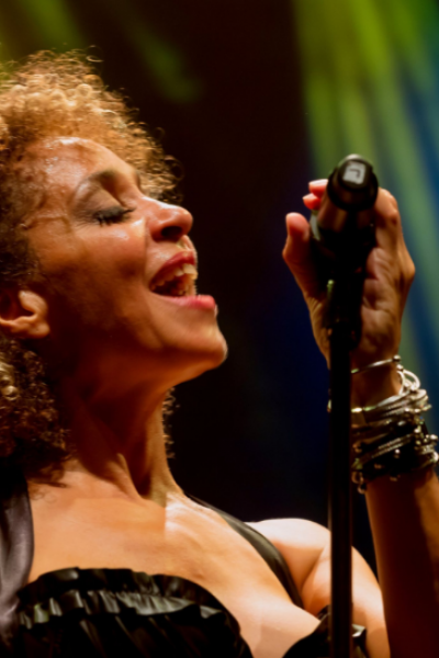WHAT'S LOVE TINA TURNER EXPERIENCE
