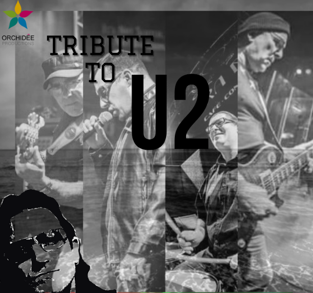Tribute to U2 !